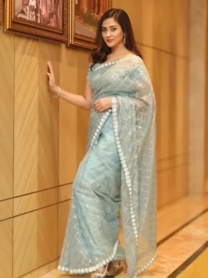 ইমপোর্টেড ওয়েটলেস সফট অরগাঞ্জা ফেব্রিকের মধ্যে গর্জিয়াস এমব্রয়ডারি করা পার্টি শাড়ি